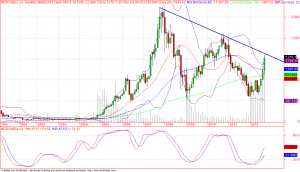 Mcdowells-n trendline on monthly chart