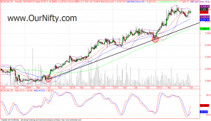 Trend line using two bottoms